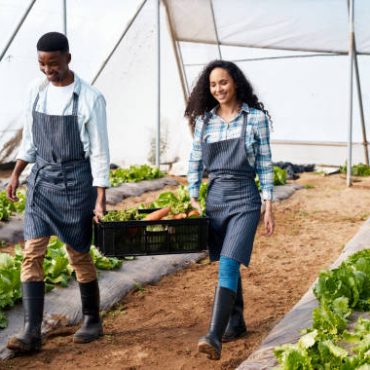 black-community:-we-might-need-to-grow-food.