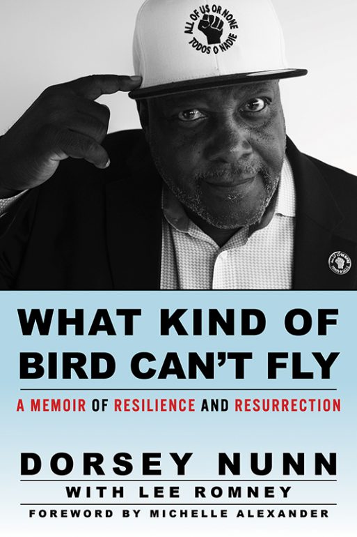 book-review;-what-bird-can’t-fly-–-more-than-incarceration.