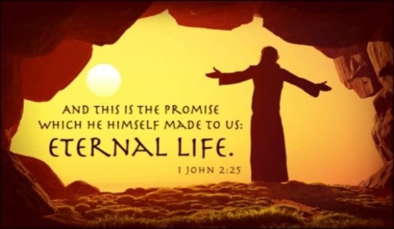 devout-christians:-embrace-eternal-life-–-the-power-of-choice-in-god’s-free-gift.