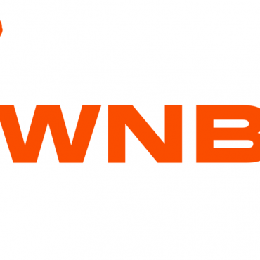 wnba-teams-have-a-shaky-history-of-dealing-with-maternity-leave.