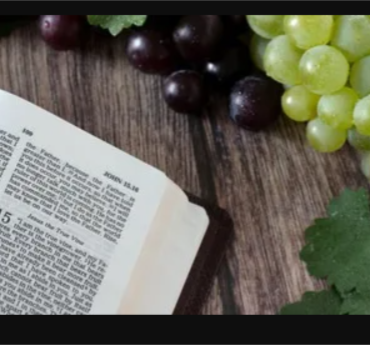 devout-christians:-5-key-competencies-for-a-fruitful-christian-life-according-to-john-15:1-8.