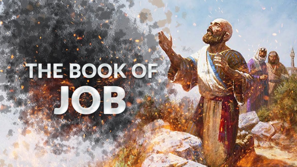 devout-christians:-walking-in-god’s-light-–-lessons-from-job-on-trust,-faith,-and-conscience.