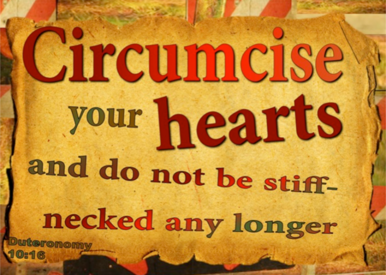 devout-christians:-understanding-“stiff-necked”-in-the-bible-–-what-it-really-means-for-christians.