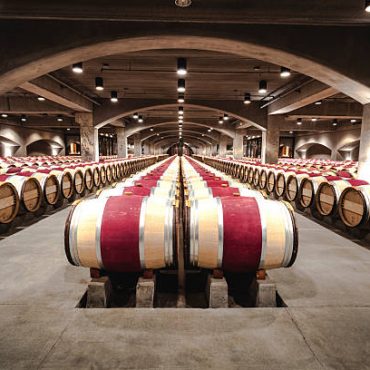 building-a-scalable-wine-business:-infrastructure-investments-that-pay-off.