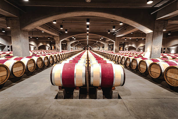 building-a-scalable-wine-business:-infrastructure-investments-that-pay-off.