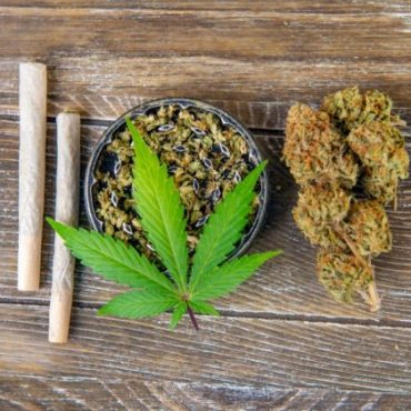 the-ultimate-beginner’s-guide-to-buying-hemp-flower.