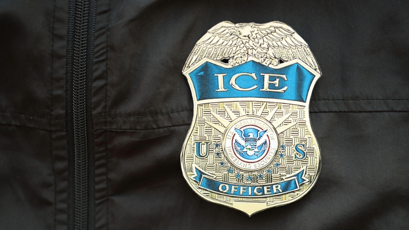 savannah-crash-involving-ice-stop-sparks-debate-after-death-of-teacher-dr-linda-davis.