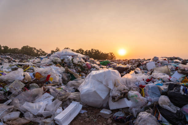 south-la-toxic-dump-exposes-environmental-racism.
