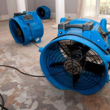 why-homeowners-trust-a-moisture-remediation-company-for-timely-solutions.
